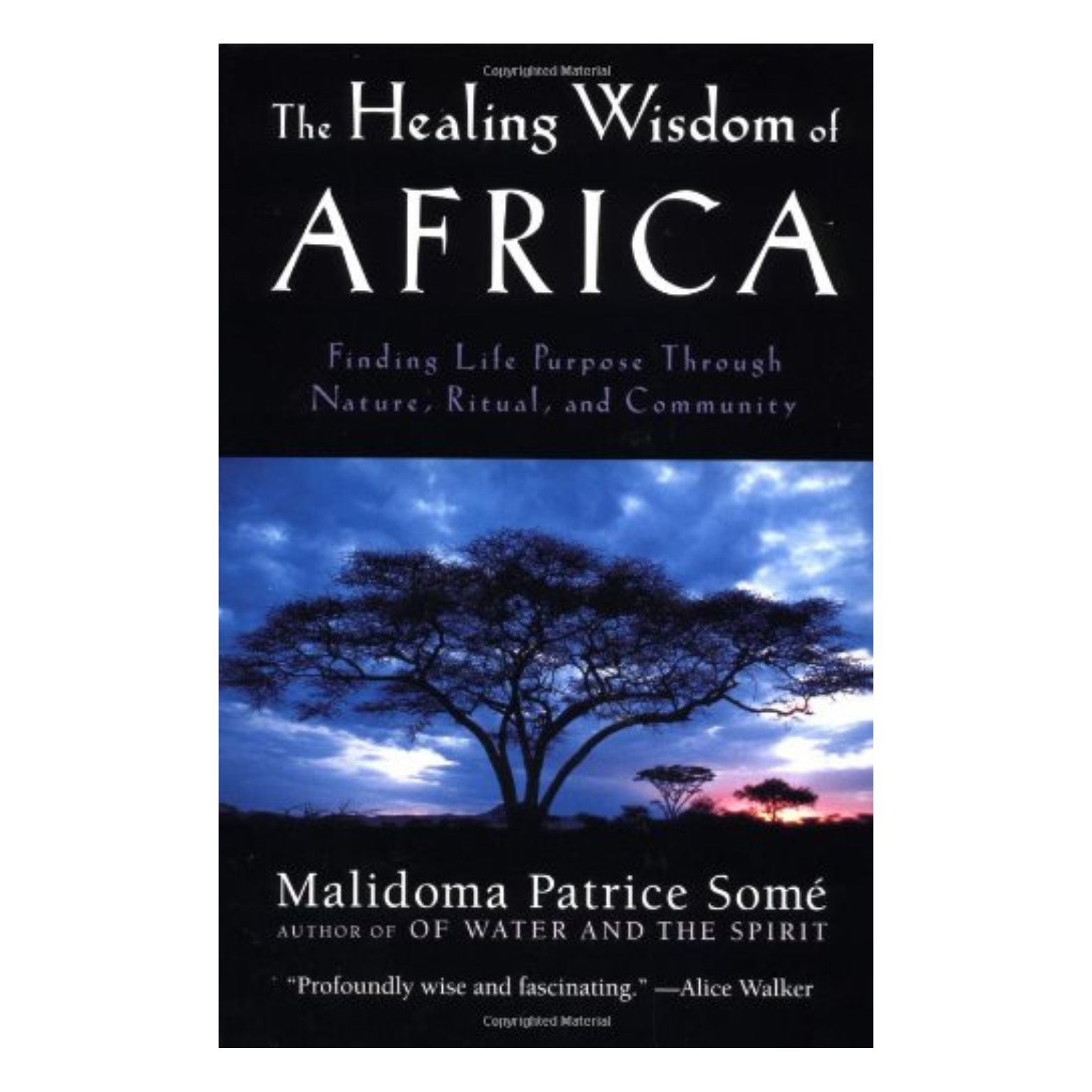 The Healing Wisdom of Africa - Malidoma Patrice Somé