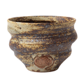 Ninshu Cup Sakigake
